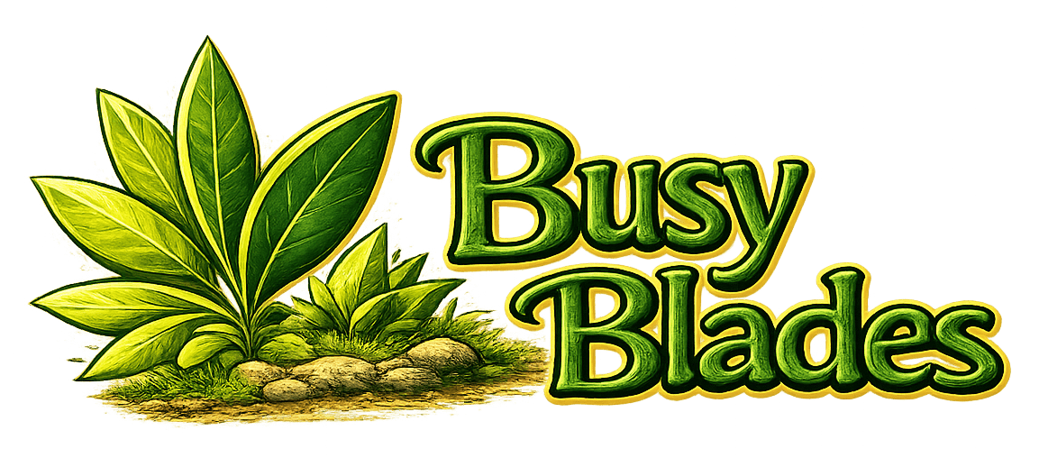 Professional Lawn Care & Landscaping | Busy Blades